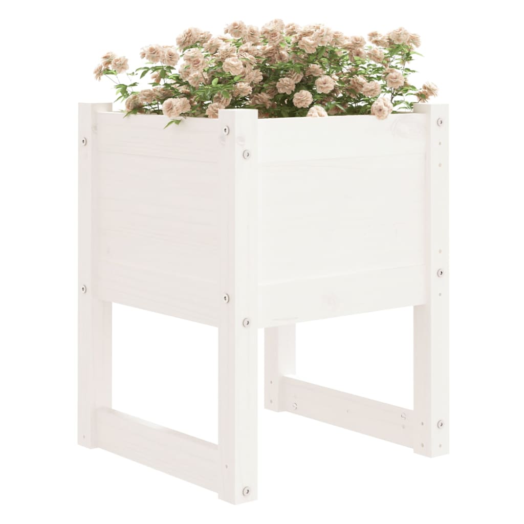 VIDAXL -Pflanzer 2 ST 40x40x52,5 cm Festkiefer weiß