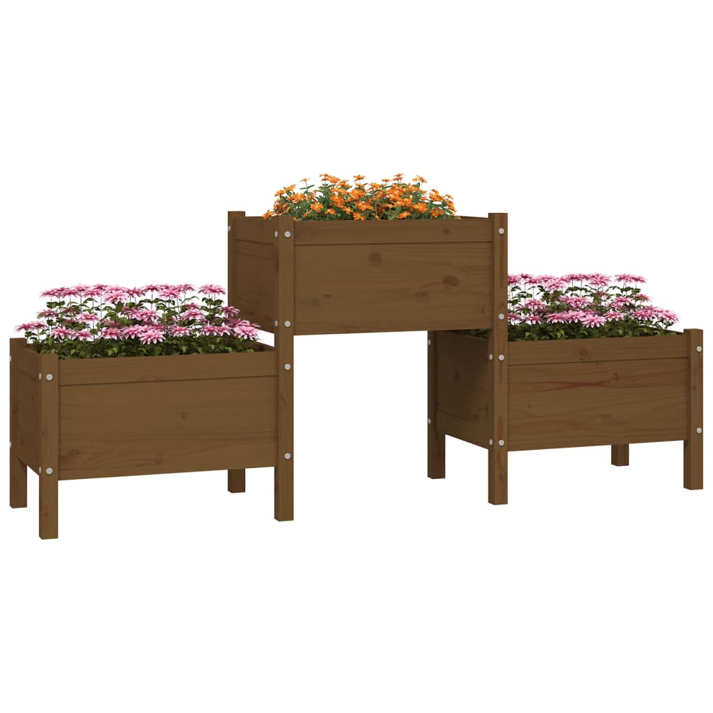 VIDAXL -Planungsbox 178.5x44x75 cm Festkiefer Honigbraun