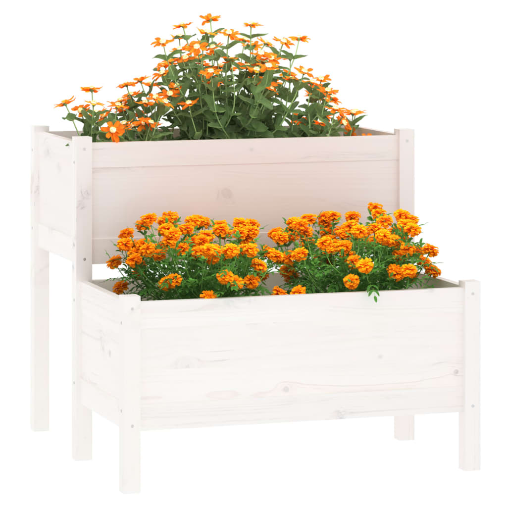 VIDAXL -Planungsbox 84.5x84x75 cm Festkiefer weiß
