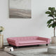 Vidaxl Hundkorb 100x50x21 cm Velvet Pink