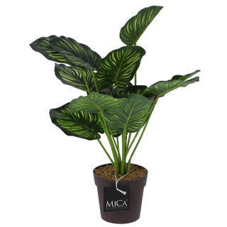 Glimmerdekorationen Glimmerdekorationen Kunstpflanze Calathea in Topfgrün 40 cm