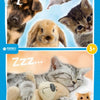 Neueinscharungsproduktionen Babytiere Linien Puzzle Junior 24 24 Stücke