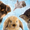 Neueinscharungsproduktionen Babytiere Linien Puzzle Junior 24 24 Stücke