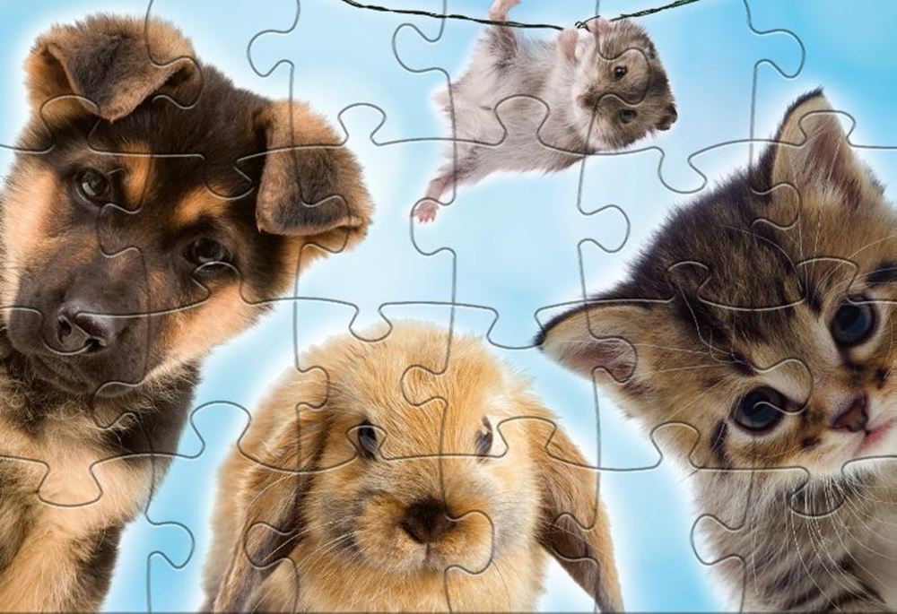 Neueinscharungsproduktionen Babytiere Linien Puzzle Junior 24 24 Stücke