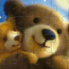 Neueinschränkungen süßeste Bear Pluzzler Junior 24 48 Teile