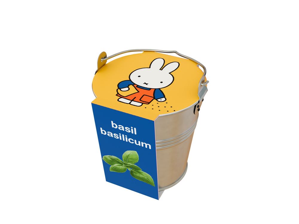 Basilikum-Miffy-Kräuter in einem Zinkeimer