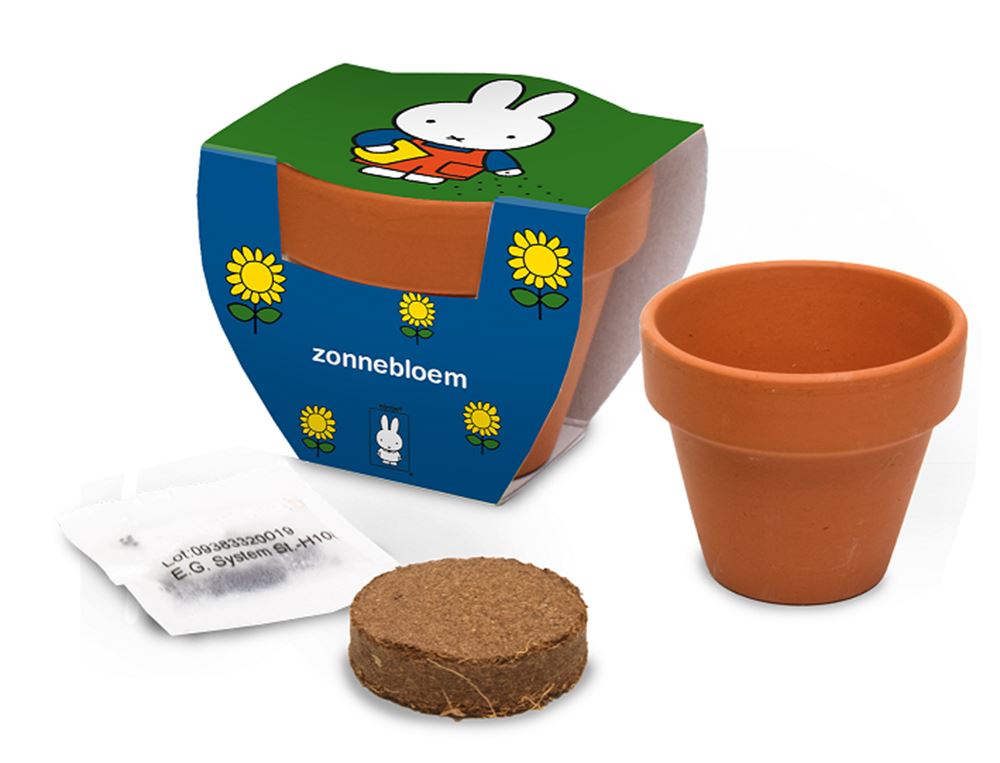 Nijntje Terrakottatopf Sonnenblume.