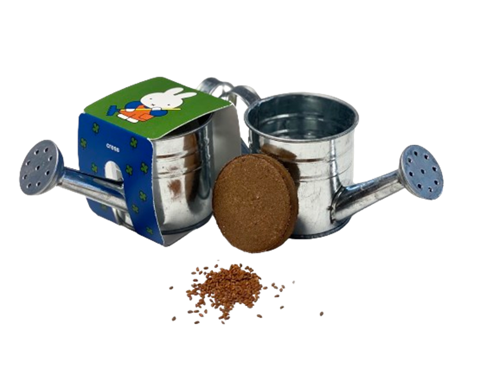 Miffy-Gießkresse.