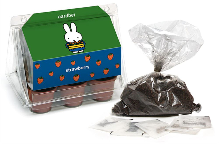 Miffy Mini-Gewächshaus-Erdbeere.