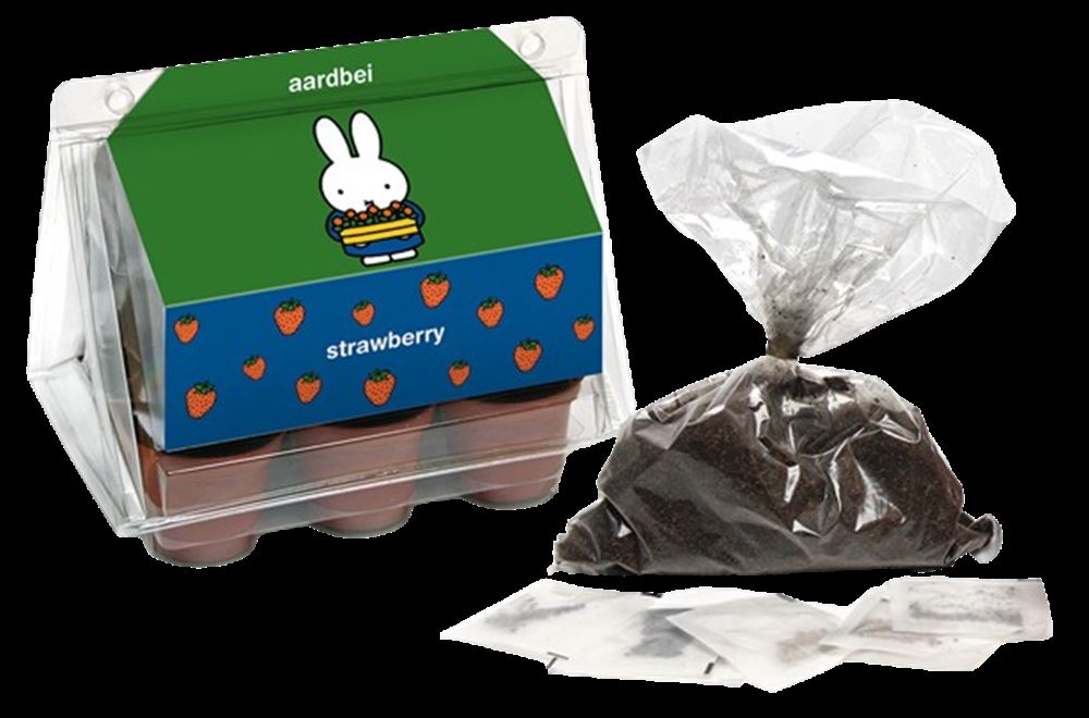 Miffy Mini-Gewächshaus-Erdbeere.
