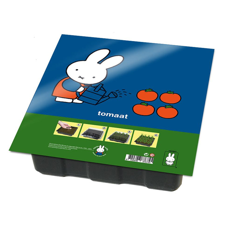 Miffy Tomatenanbauset.