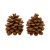 Hbx natürlicher Wohnduft Tannenzapfen Pinus Pinea Zimt