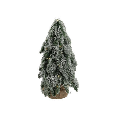 HBx natürlicher lebender Weihnachtsbaum Nobilis Schnee 35LED H43cm