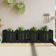 Vidaxl Pflanzer Insent HEK Design 200x50x50 cm Kiefernholz schwarz