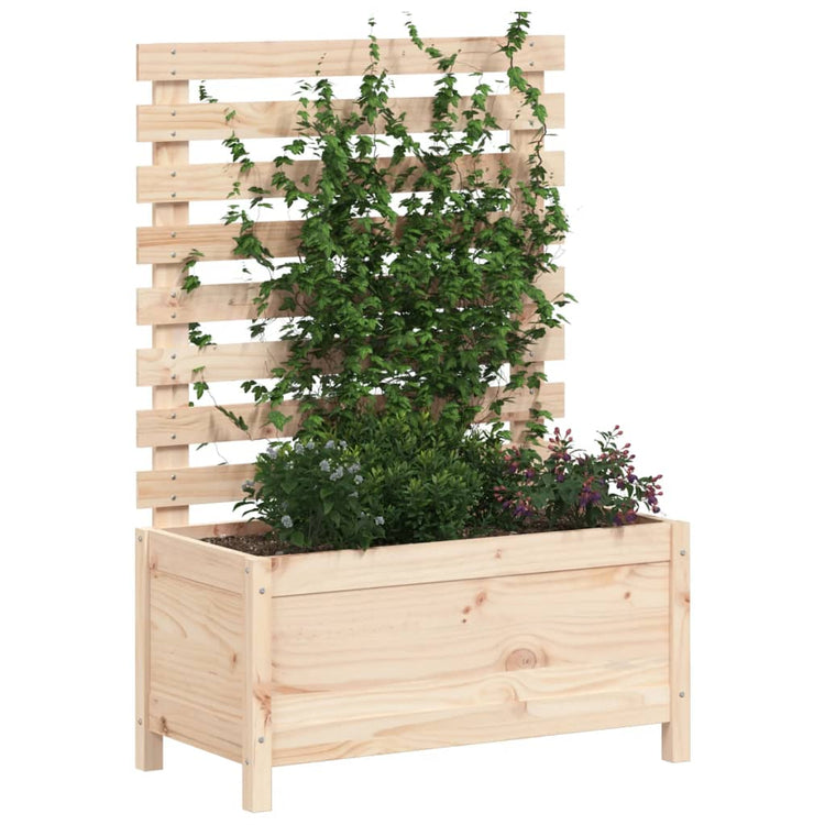 VIDAXL -Pflanzer mit Rack 79x39.5x114 cm Festkiefer