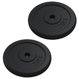 VIDAXL -Halfterscheibe 40 kg Gusseisen - afbeelding 2