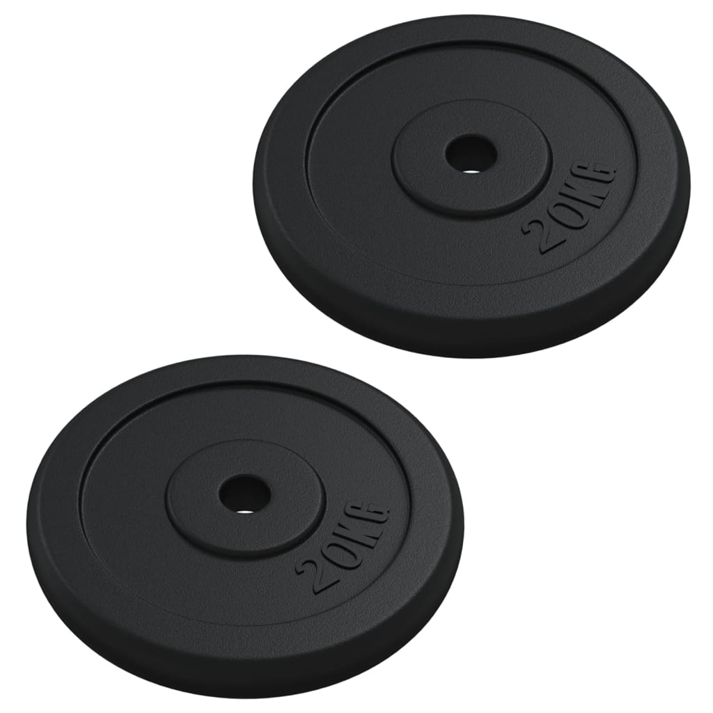 VIDAXL -Halfterscheibe 40 kg Gusseisen