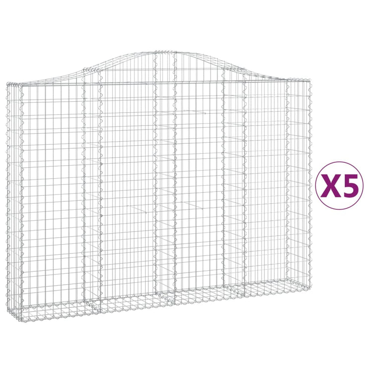 Vidaxl Schans Körbe 5 ST Gewölbe 200x30x140 160 cm Eisen