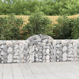 Vidaxl Schans Körbe 12 ST Gewölbe 200x30x80 100 cm Eisen - afbeelding 1