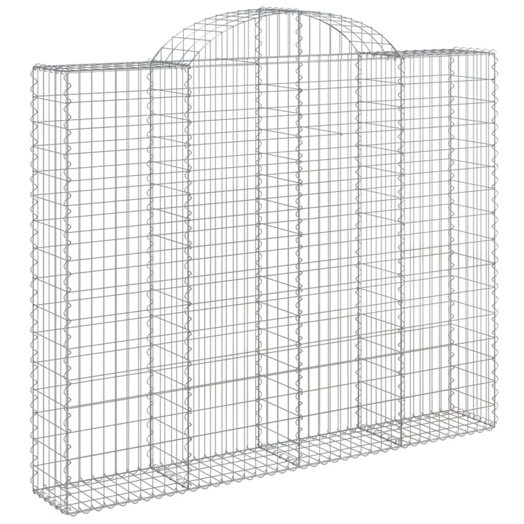 Vidaxl Schans Körbe 2 ST Gewölbe 200x30x160 180 cm Eisen