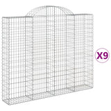 Vidaxl Schans Körbe 9 St. Gewölbe 200x30x160 180 cm Eisen - afbeelding 2