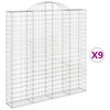 Vidaxl Schans Körbe 9 ST Gewölbe 200x30x200 220 cm Eisen