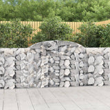 VIDAXL SCHANS Körbe 10 ST Gewölbe 300x30x100 120 cm Eisen - afbeelding 1