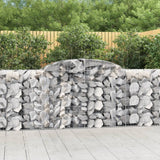 VIDAXL SCHANS Körbe 2 ST Gewölbe 300x50x80 120 cm Eisen - afbeelding 1