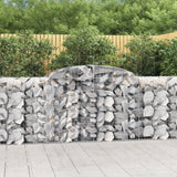 Vidaxl Schans Körbe 6 ST Gewölbe 300x50x100 120 cm Eisen - afbeelding 1