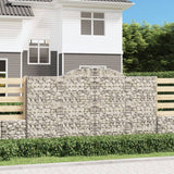 VIDAXL SCHANS Körbe 2 ST Gewölben 300x50x160 180 cm Eisen - afbeelding 1