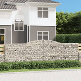 VIDAXL SCHANS Körbe 2 ST Gewölben 400x30x120 140 cm Eisen - afbeelding 1