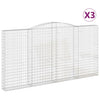 VIDAXL SCHANS Körbe 3 ST Gewölbe 400x30x200 220 cm Eisen