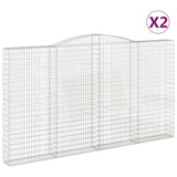 VIDAXL SCHANS Körbe 2 ST Gewölbe 400x30x220 240 cm Eisen - afbeelding 2