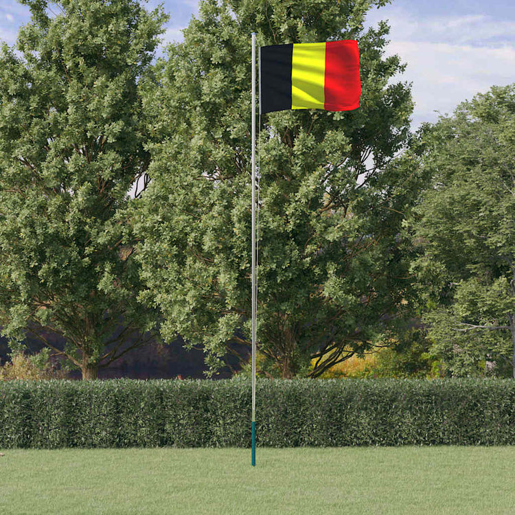 VIDAXL -Flag mit Flaggmast 6,23 m Aluminium