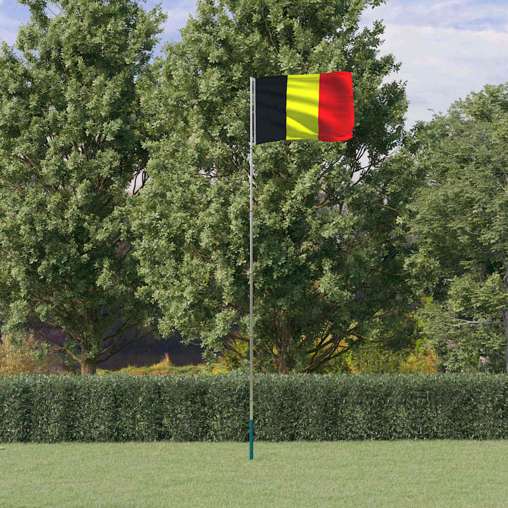 VIDAXL -Flag mit Flaggmast 5,55 m Aluminium