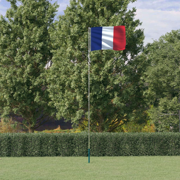VIDAXL -Flag mit Flaggmast Frankreich 5,55 m Aluminium
