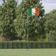 VIDAXL -Flag mit Flaggmast Irland 5,55 m Aluminium