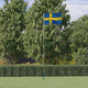 VIDAXL -Flag mit Flaggmastschweden 5,55 m Aluminium