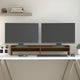 Vidaxl Monitor Standard 100x24x16 cm Festkiefer Honigbraun
