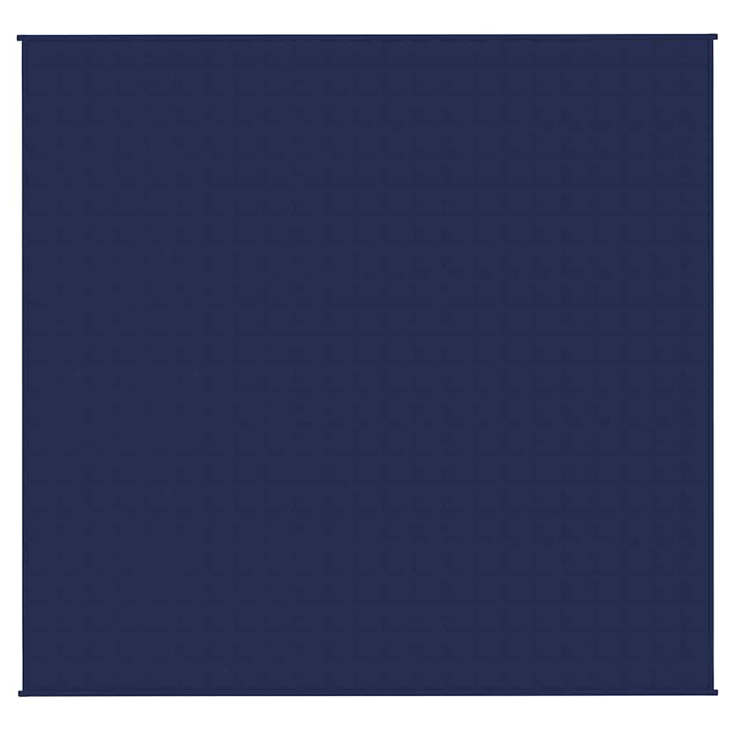 Vidaxl schwache Decke 220x235 cm 11 kg Stoff blau