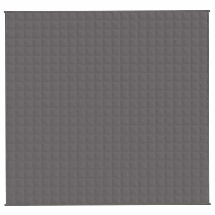 Vidaxl schwache Decke 220x235 cm 11 kg Stoff grau