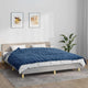 Vidaxl schwache Decke 155x220 cm 11 kg Stoff blau