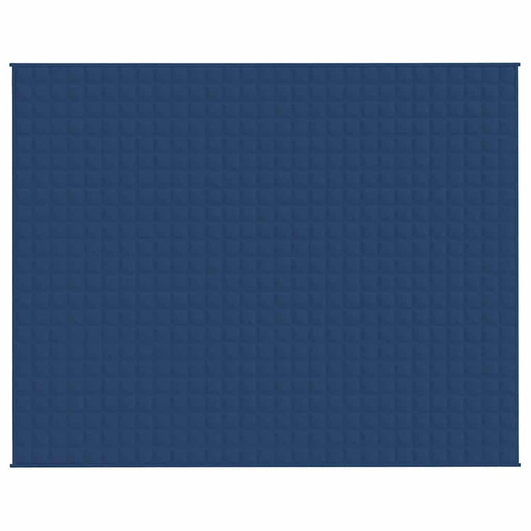 Vidaxl schwache Decke 235x290 cm 11 kg Stoff blau