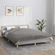 Vidaxl schwachende Decke mit Abdeckung 200x200 cm 13 kg Stoff grau