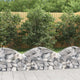 Vidaxl Schanskorf Gewölbe 100x30x40 60 cm verzinktes Eisen