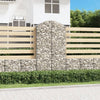 Vidaxl Schanskorf Gewölbe 100x50x180 200 cm verzinktes Eisen