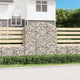 VIDAXL SCHANSKORF VULTED 150X50X160 180 cm verzinktes Eisen