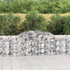 VIDAXL SCHANSKORF VULTED 300X30X80 100 CM GESCHALTE
