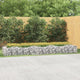 Vidaxl Schanskorf Gewölbe erhöhte 400x100x50 cm verzinktes Eisen