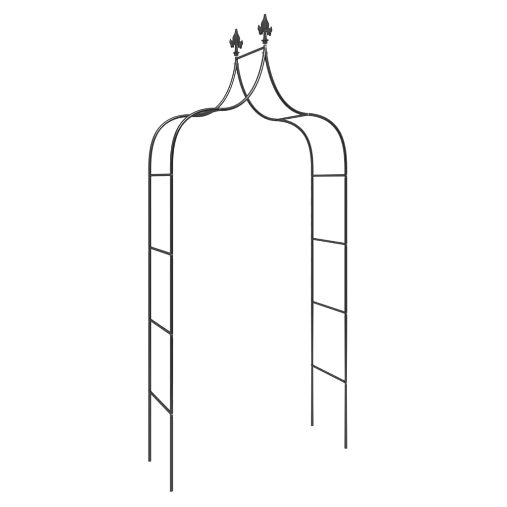Vidaxl Gartenbögen 2 PCs 120x38x260 cm Stahl schwarz